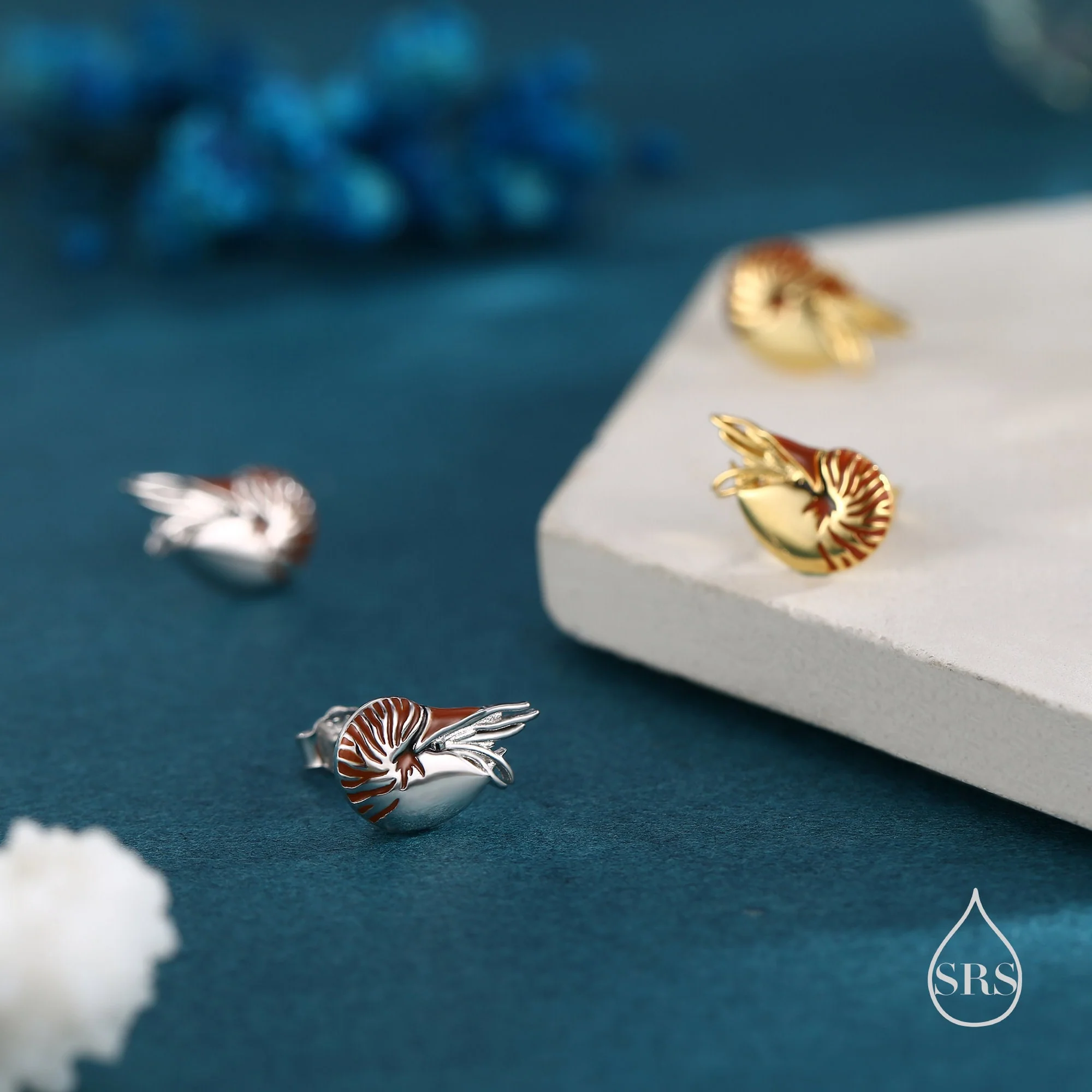 Nautilus Shell Stud Earrings in Sterling Silver, Silver or Gold, Ocean Earrings, Shell Earrings, Sea Shell Earrings - Image 5