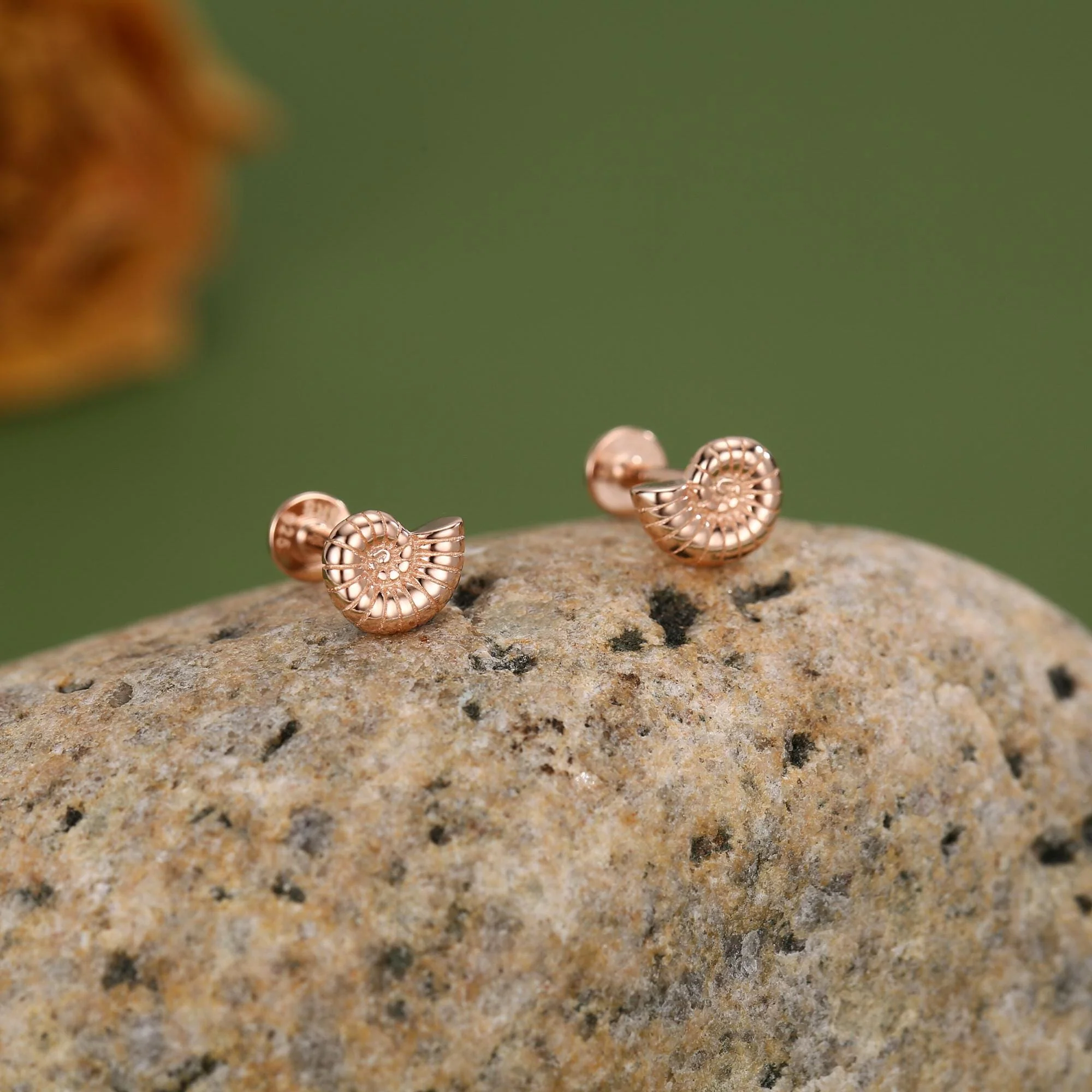 Sterling Silver Ammonite 16G Flat Back Labret Earrings - Image 6