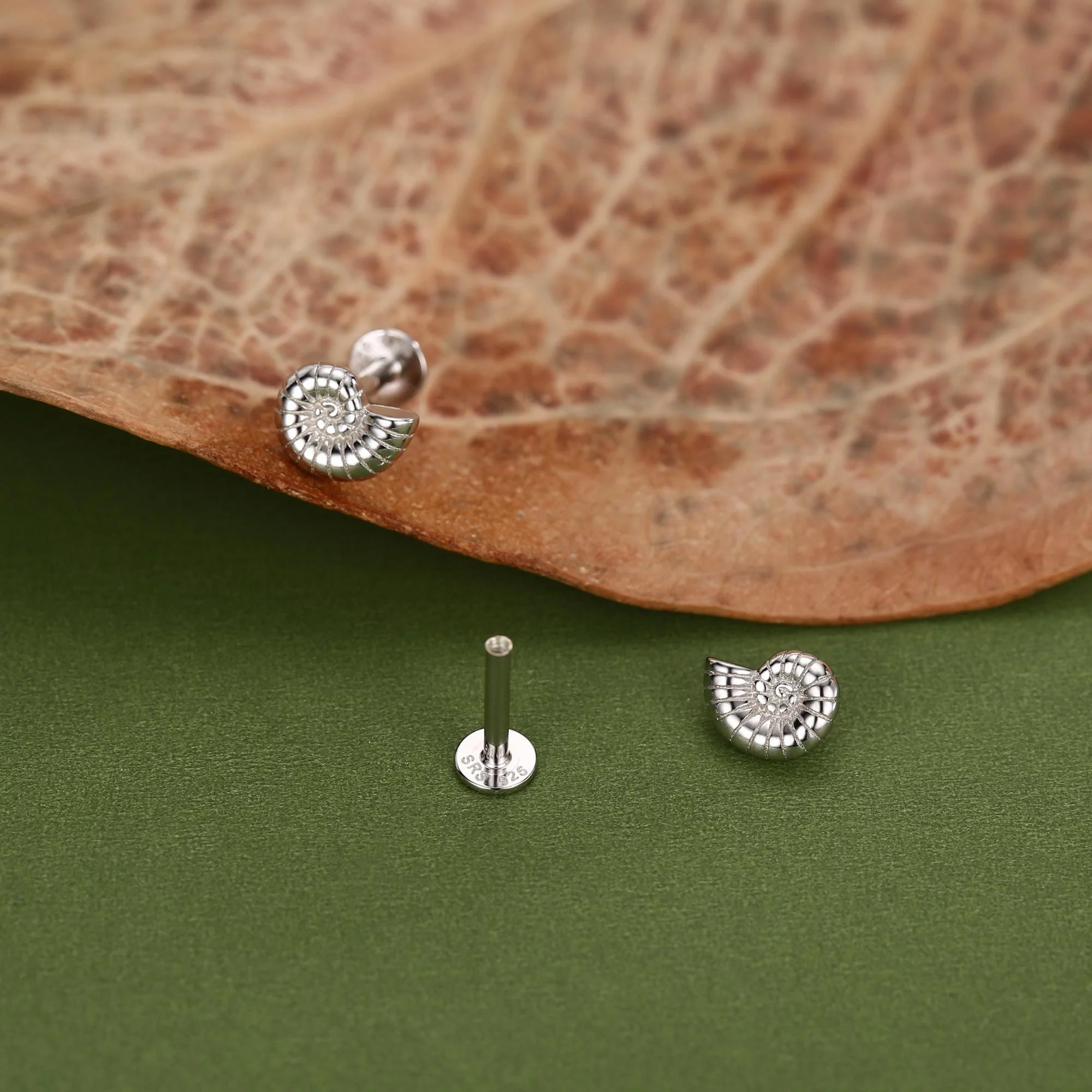 Sterling Silver Ammonite 16G Flat Back Labret Earrings - Image 7
